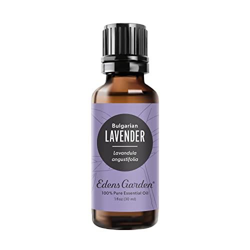 Edens Garden Lavender - Bulgarian