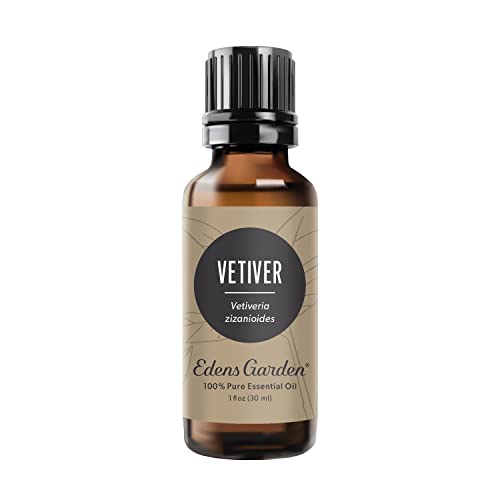 Best Aromatherapy Diffusers & Oil Sets for Cozy Fall Rooms (2026 Guide)