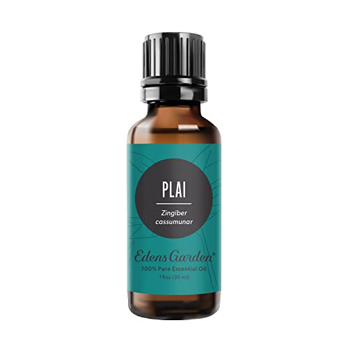 Edens Garden Plai Essential Oil- 100% Pure Premium Grade, Undiluted, Natural, Therapeutic, Aromatherapy, The Best for Diffuser, Skin, Face, Hair 30 ml (1 fl oz)