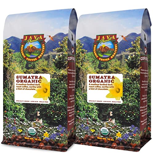Low Acid Organic Coffee  Whole Bean, Mold-Free & Stomach Friendly by Java Planet, Sumatran Single Origin Coffee, Dark Roast, Smooth Full Flavored, 2x1LB Bag
