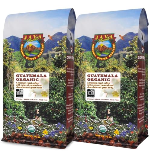 Java Planet Guatemalan Single Origin