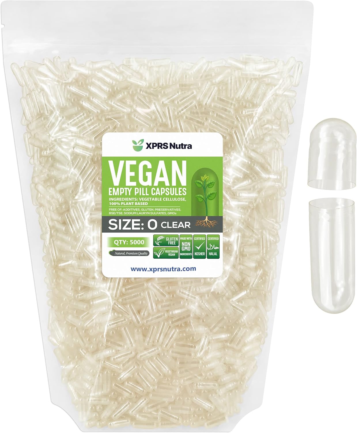 Whey Isolate vs Concentrate vs Plant Protein: What to Use for Recovery (2026)
