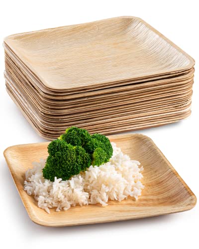brheez Palm Leaf Plates