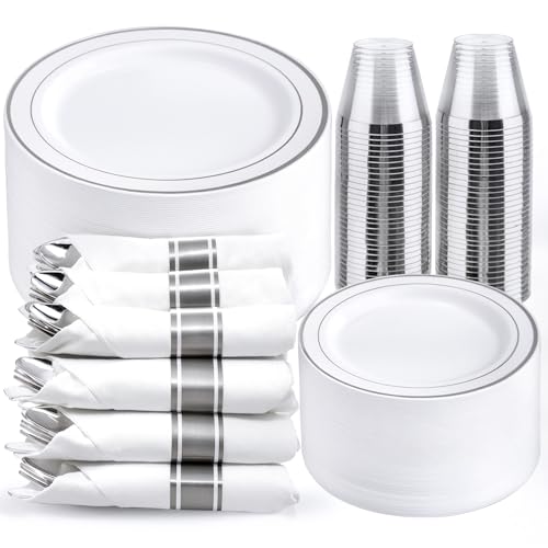 WELLIFE 350Pcs Silver Set