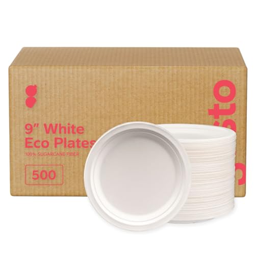 Best Disposable & Compostable Plates for Spring Picnics (2026 Guide)