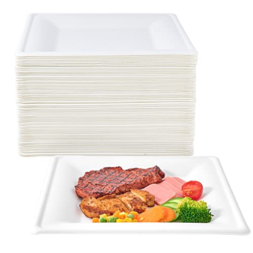 ECOLipak 10" Plates