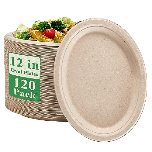 Vplus 12" Compostable Plates (120)