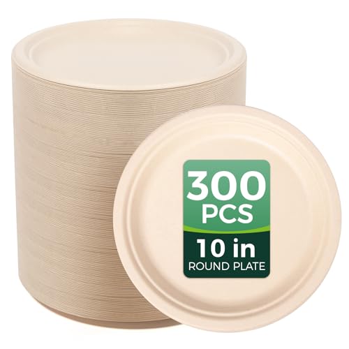 Hooray Mida 10in 300-count