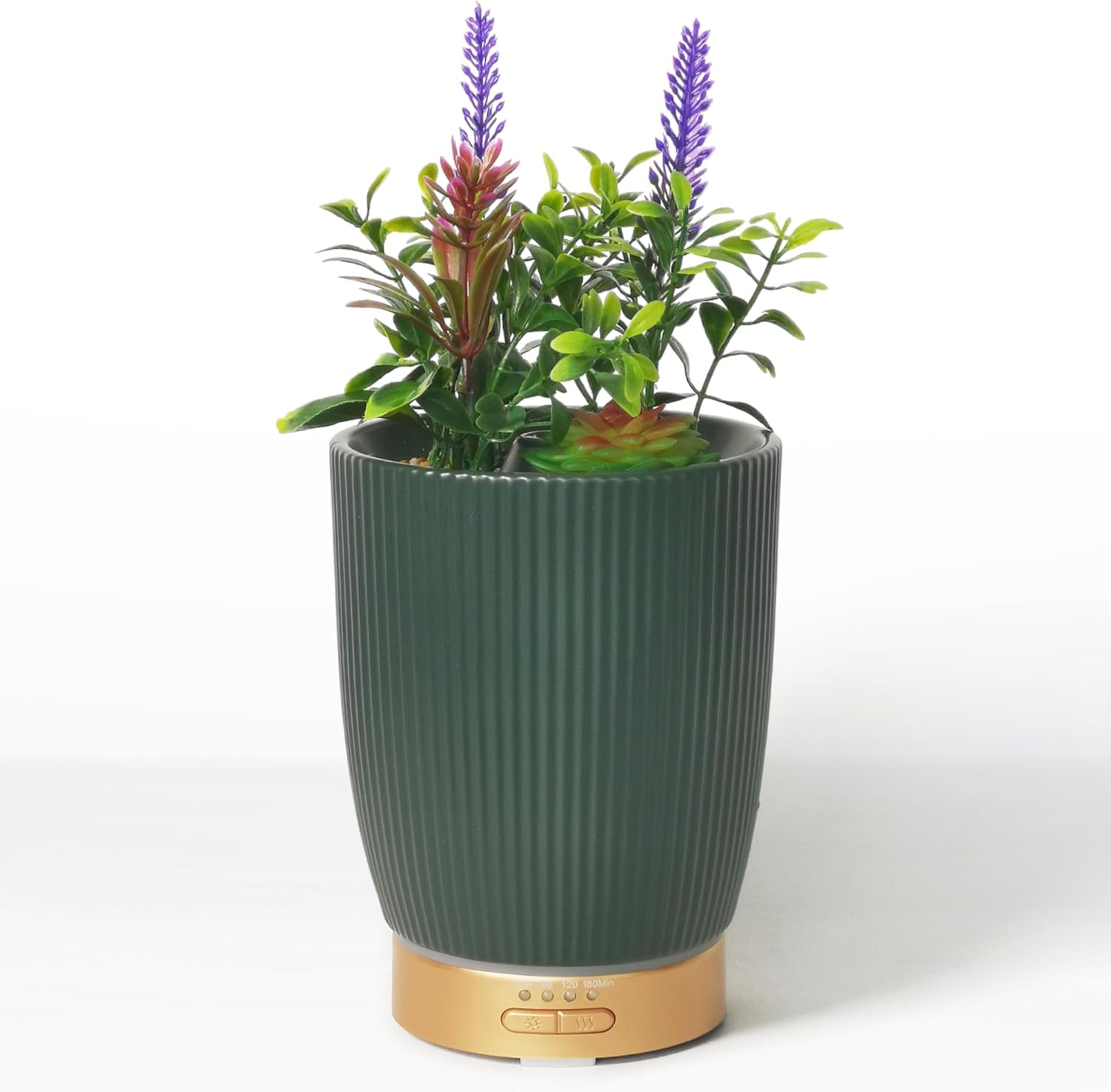 Earnest Living Ceramic Succulent Diffuser