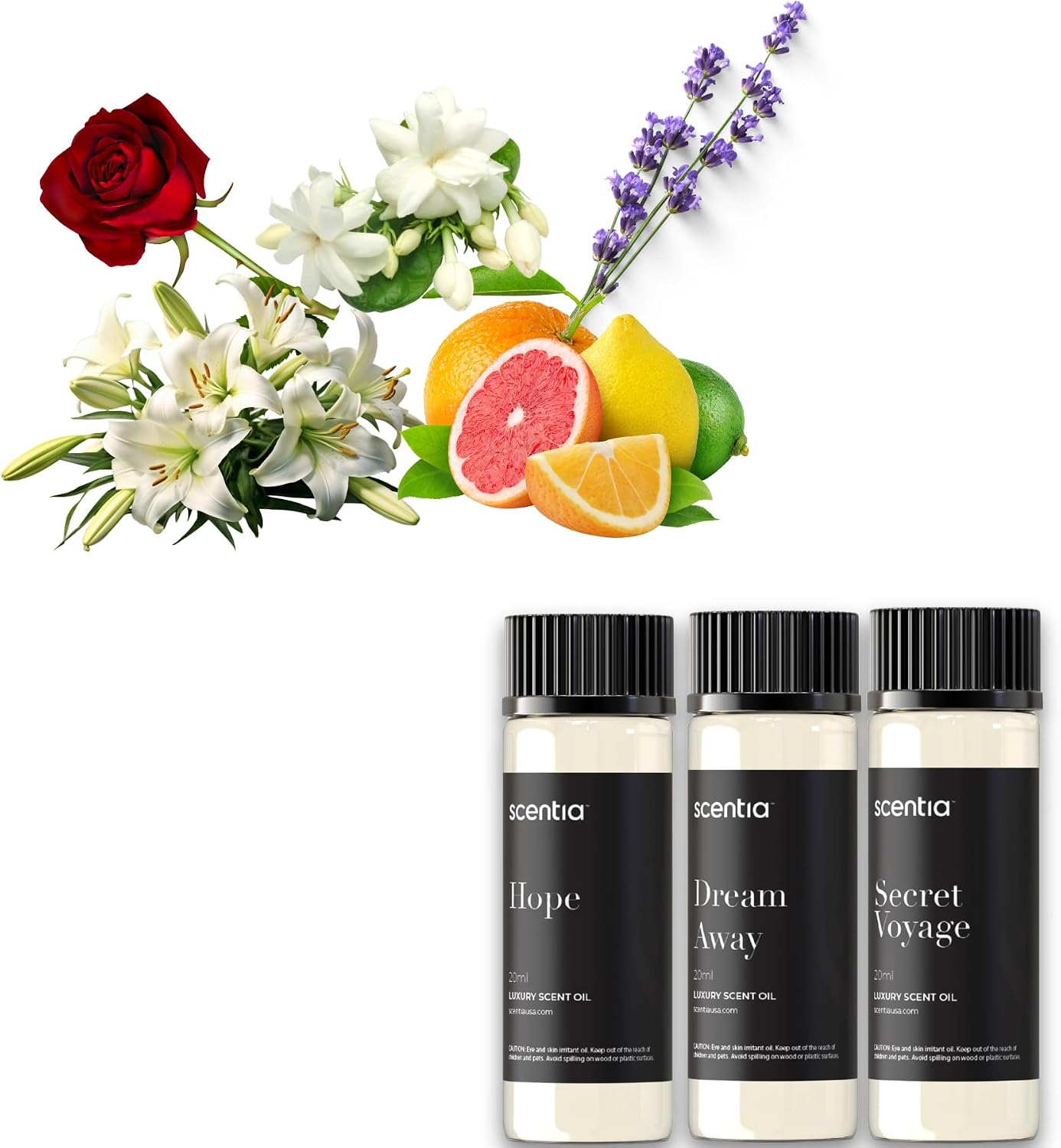Scentia Perfume-Inspired Oils